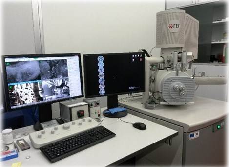 Scanning Electron Microscope (FEI Quanta 450)